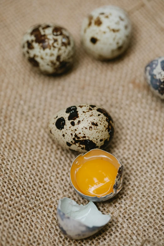 a group of eggs sitting on top of a table, seeds, detailed product image, worn, dutch masters