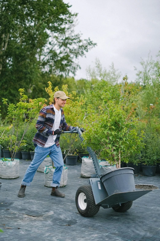 a man pushing a cart full of plants, betula pendula, many trees and plants, very consistent, grey