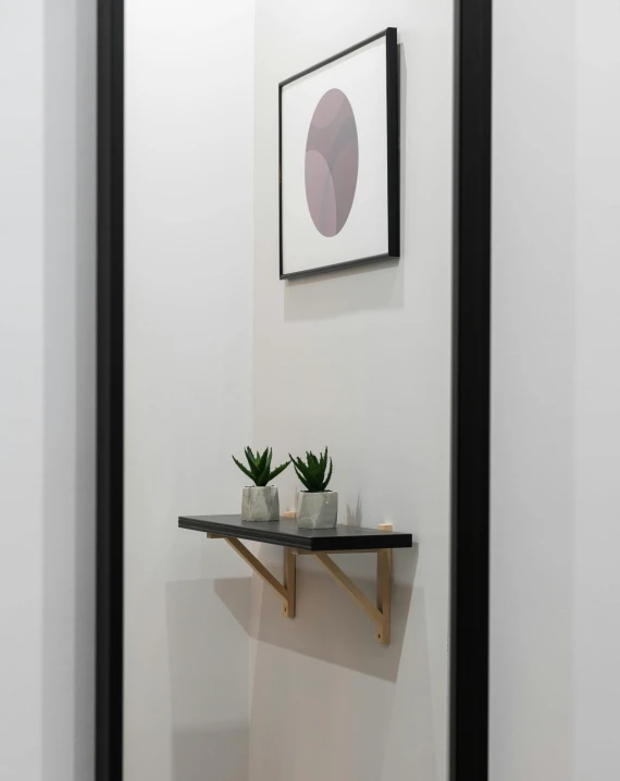 a white toilet sitting in a bathroom next to a mirror, a picture, by Harvey Quaytman, jar on a shelf, branching hallways, detailed product image, metal framed portal