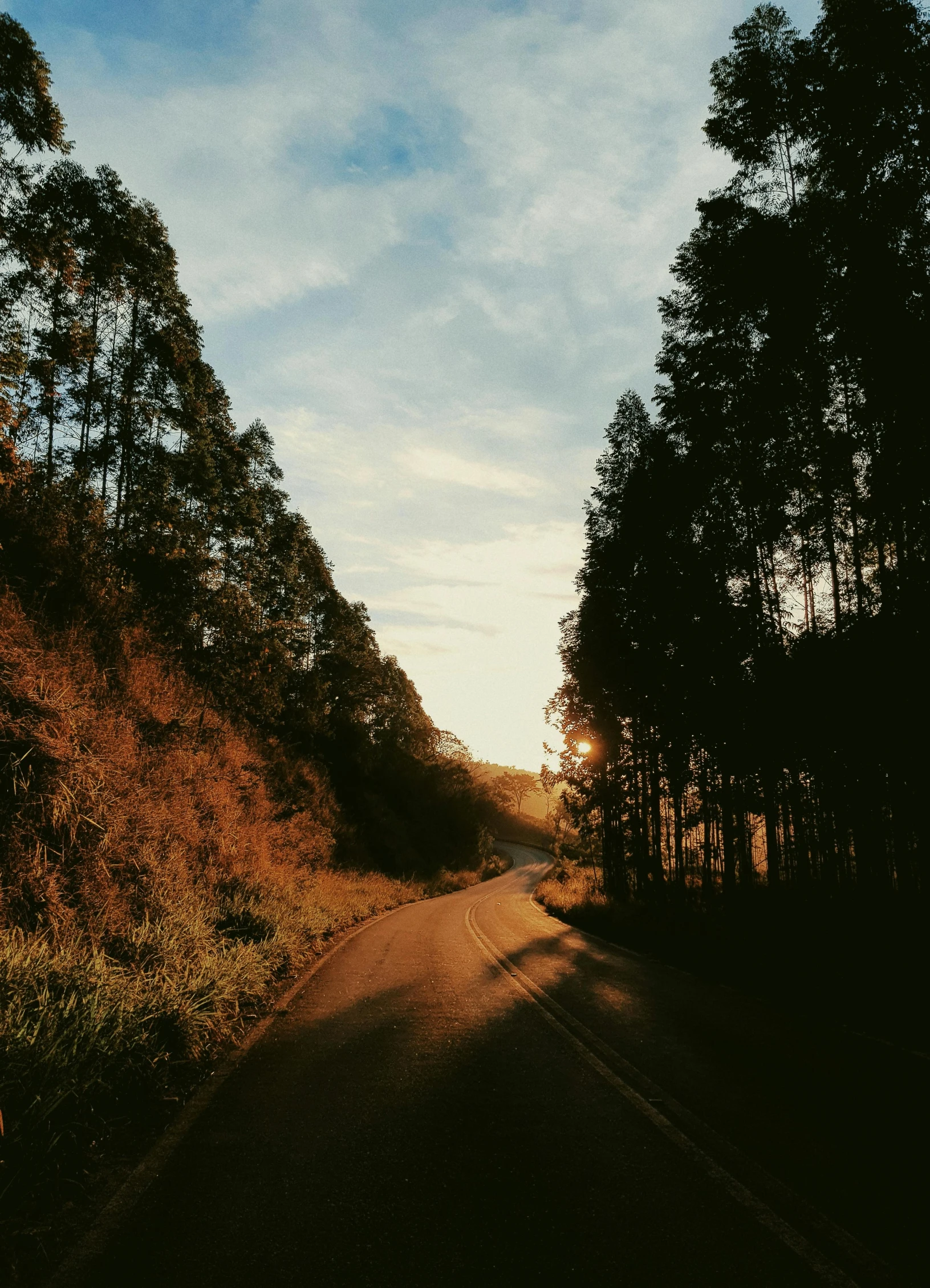 the sun is setting behind the trees on the side of the road, a picture, unsplash contest winner, sumatraism, today\'s featured photograph 4k, rolling foothills, nostalgic vibes, eucalyptus trees
