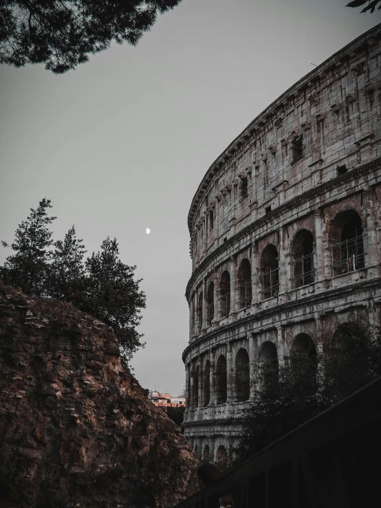 a black and white photo of the colossion in rome, pexels contest winner, moon in the background, brown, built into trees and stone, ✨🕌🌙