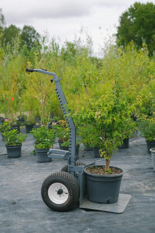 a hand truck filled with lots of potted plants, unsplash, auto-destructive art, giant cherry trees, cultivator, professional grade, organic and robotic