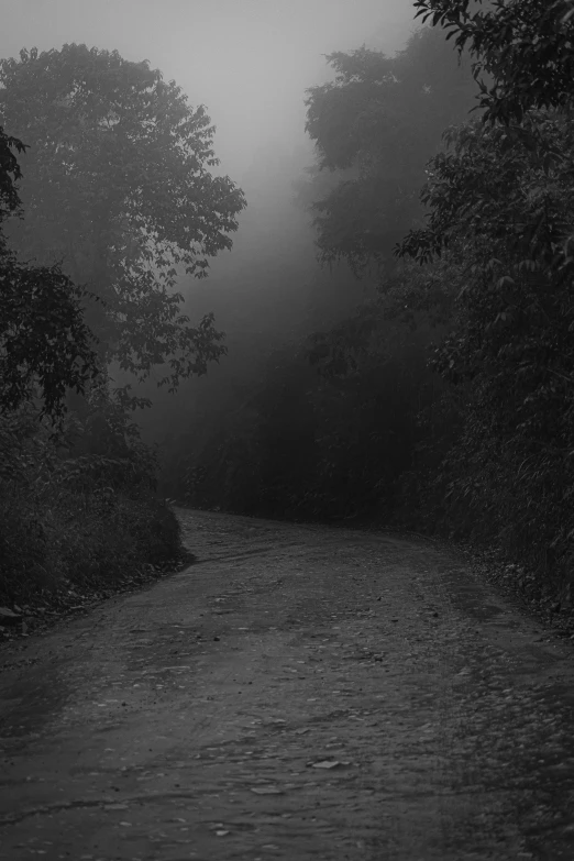 a black and white photo of a foggy road, a black and white photo, inspired by Gregory Crewdson, tonalism, 2 5 6 x 2 5 6 pixels, dark jungle, 'silent hill ', ((((dirt brick road))))