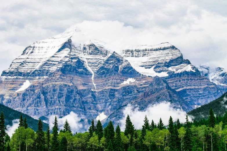 a herd of cattle grazing on top of a lush green field, by Brigette Barrager, pexels contest winner, with a snowy mountain and ice, banff national park, detailed trees and cliffs, desktop wallpaper