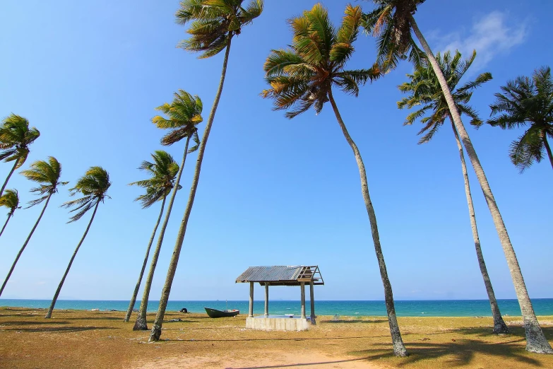 a beach covered in palm trees next to the ocean, by Matthias Stom, pexels contest winner, hurufiyya, square, gazebos, puerto rico, blue clear skies