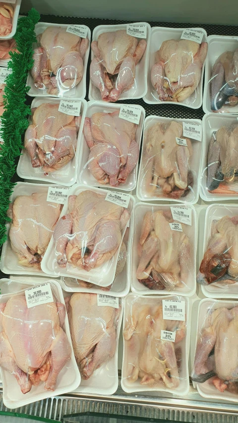 a display case filled with chicken in plastic containers, by Rachel Reckitt, pexels, renaissance, bird view, hi-res, lop eared, stood in a supermarket