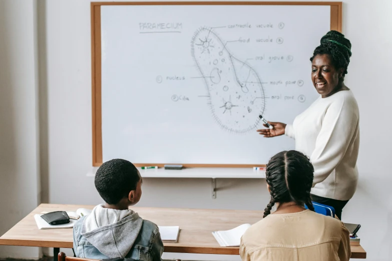 a teacher teaching a group of children in a classroom, pexels contest winner, academic art, african fractals, background image, whiteboard, photo of a black woman