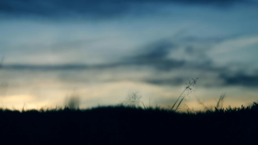 a giraffe standing on top of a grass covered field, a picture, unsplash, romanticism, nightfall. quiet, abstract photography, silhouette :7, grass surrounding it