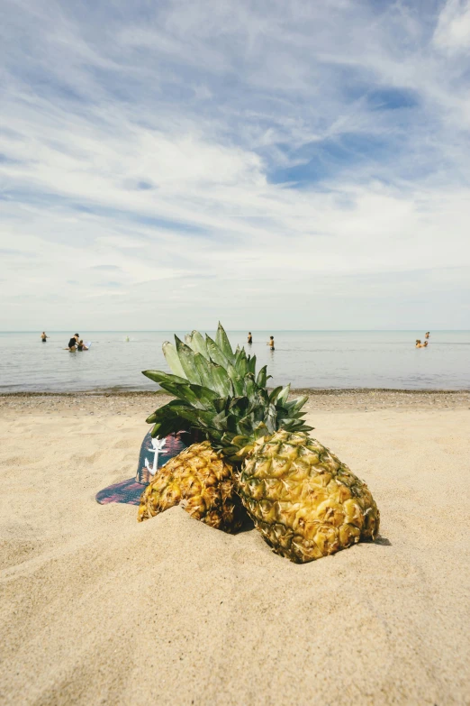 a couple of pineapples sitting on top of a sandy beach, chicago, best photo, corn floating in ocean, square