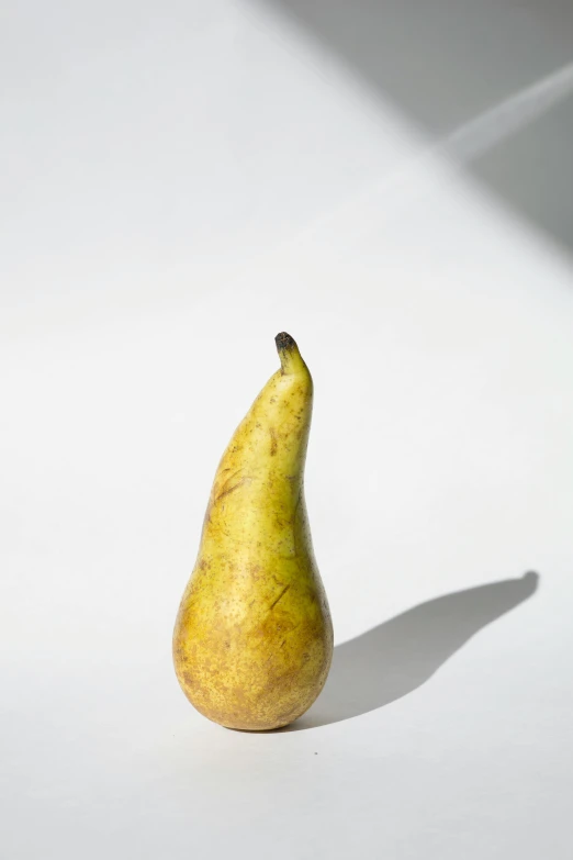 a single pear sitting on a white surface, by Paul Bird, unsplash, photorealism, vegetable, backlit, portrait of tall, wisconsin