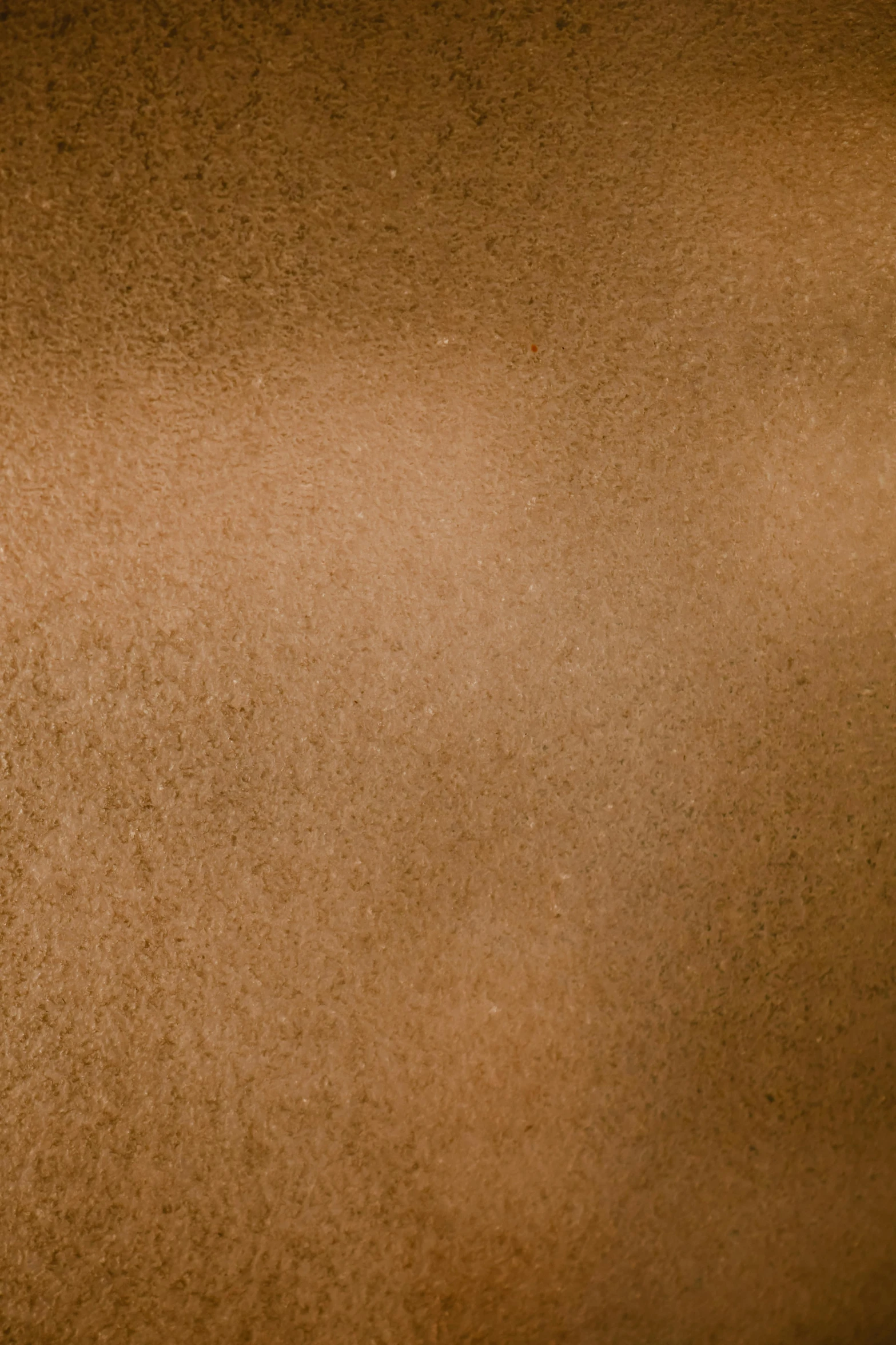 a close up of a person holding a tennis racquet, an album cover, inspired by Giorgione, trending on reddit, tonalism, cinnamon #b57e59 skin color, background(solid), brown, made of bronze