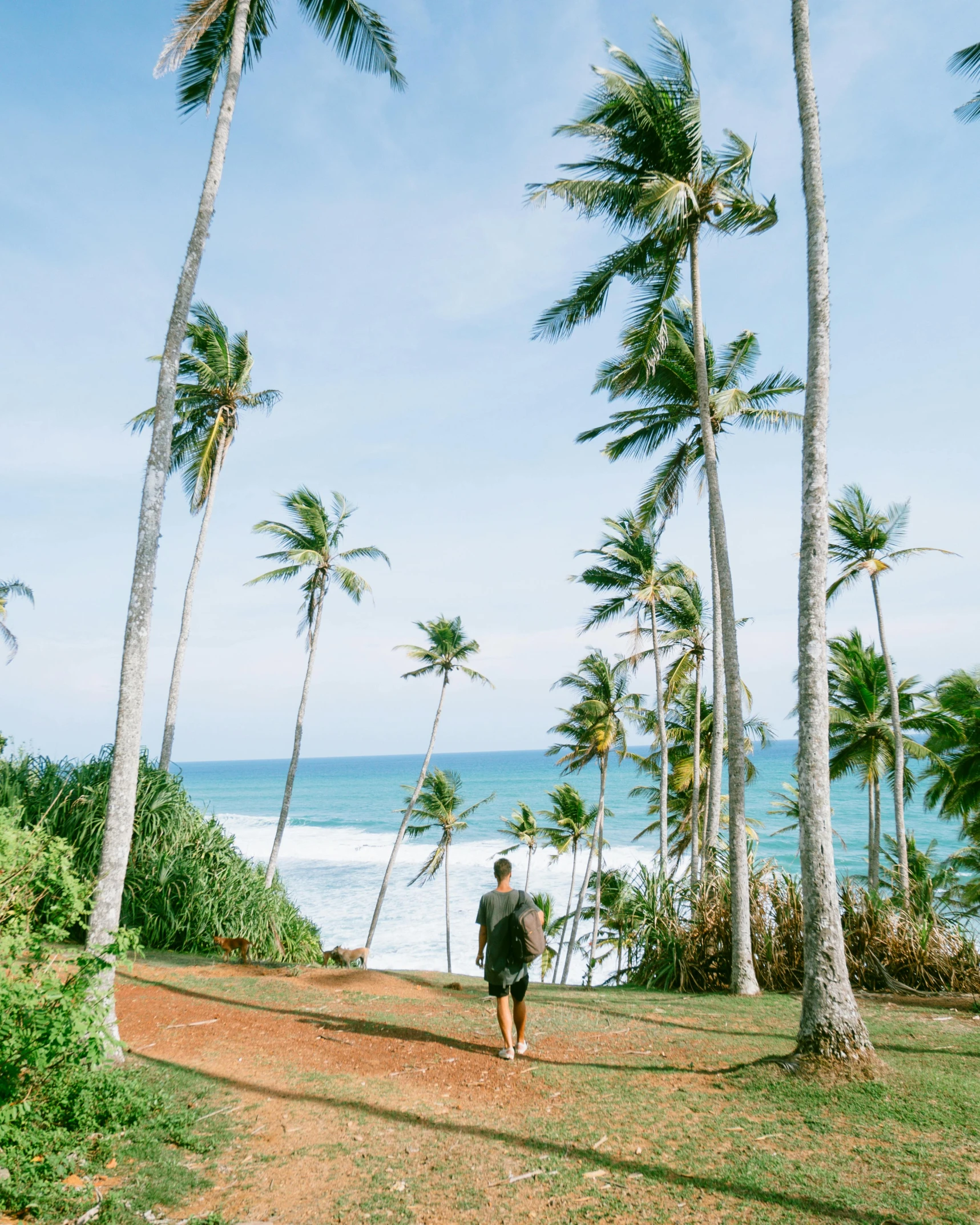 a man standing on top of a lush green field next to the ocean, palm trees on the beach, sri lanka, walking to the right, instagram post