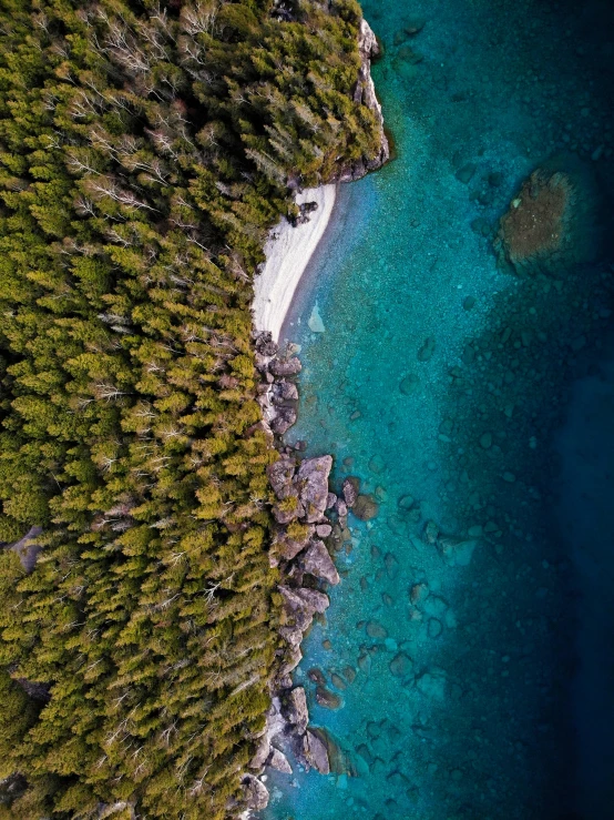 an aerial view of a body of water surrounded by trees, by Terese Nielsen, pexels contest winner, rocky beach, thumbnail, crystal clear blue water, quebec