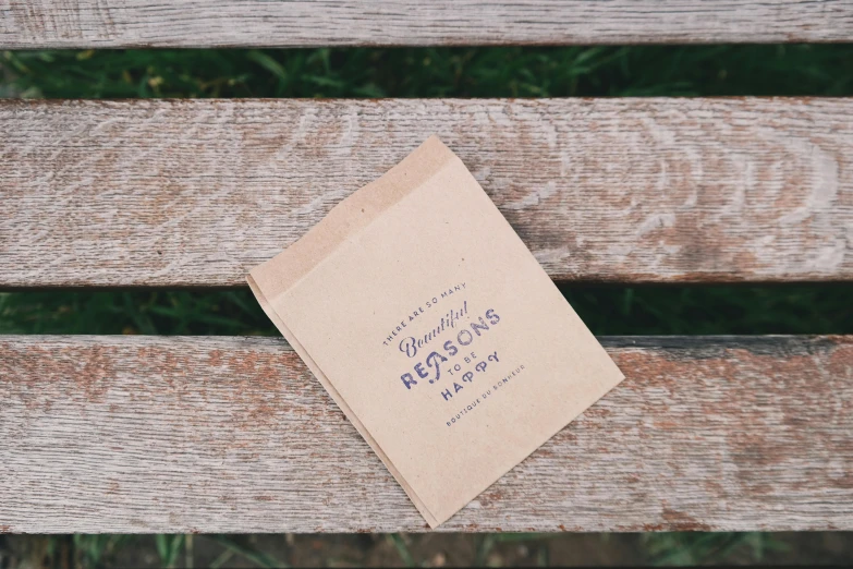 a book sitting on top of a wooden bench, by Rachel Reckitt, unsplash, private press, game pack, seeds, brown paper, begging