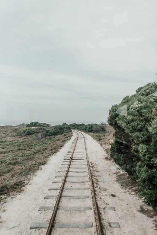 a train track in the middle of a field, unsplash contest winner, south african coast, bushes, small steps leading down, low quality photo