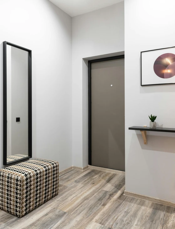 a living room filled with furniture and a mirror, by Adam Marczyński, light and space, apartment hallway, high quality image, doorway, grey and dark theme