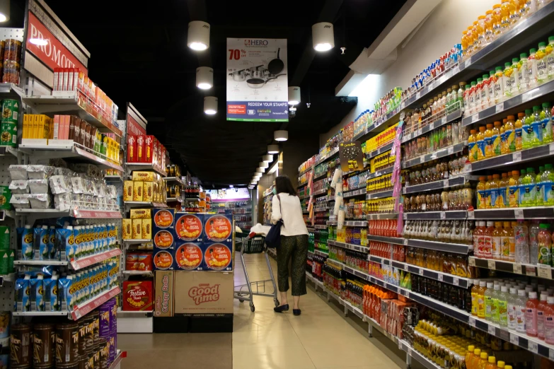 a woman pushing a shopping cart through a grocery store, pexels, hyperrealism, australian, wide long view, ground level, realistic »