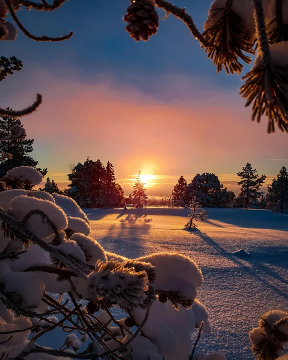 the sun is setting over a snowy field, by Anton Lehmden, pexels contest winner, romanticism, beautiful pine tree landscape, soft glowing windows, fading rainbow light, 🌲🌌