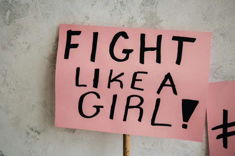 a pink sign that says fight like a girl, a poster, trending on pexels, profile image, cardboard, ecchi, gray