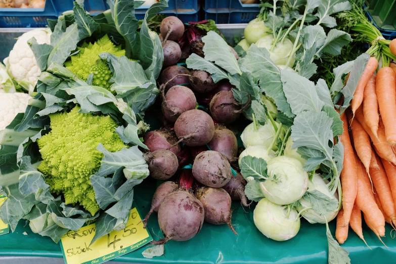 a table topped with lots of different types of vegetables, by Carey Morris, market stalls, purple and green, thumbnail, square