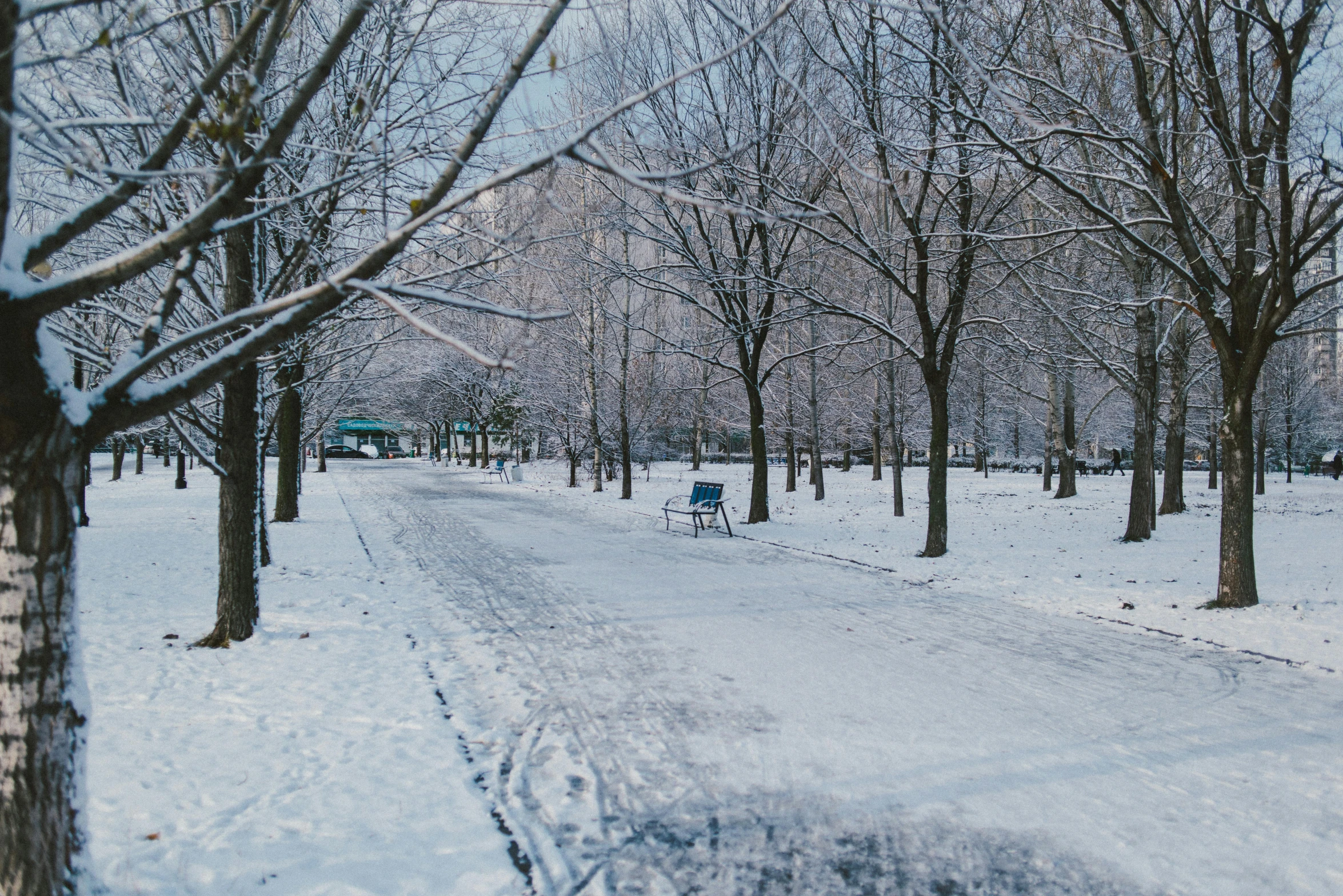 a bench sitting in the middle of a snow covered park, inspired by Elsa Bleda, unsplash contest winner, thumbnail, wide establishing shot, hyperdetailed photo, lonely human walking