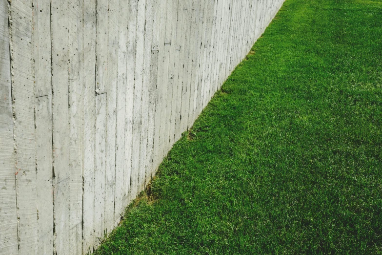 a red fire hydrant sitting on top of a lush green field, inspired by Elsa Bleda, pexels contest winner, postminimalism, wooden fence, white concrete, long shadow, gray concrete