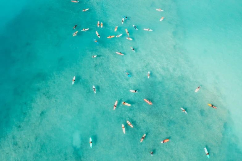 a group of people floating on top of a body of water, turquoise water, standing on surfboards, top selection on unsplash, 🦩🪐🐞👩🏻🦳