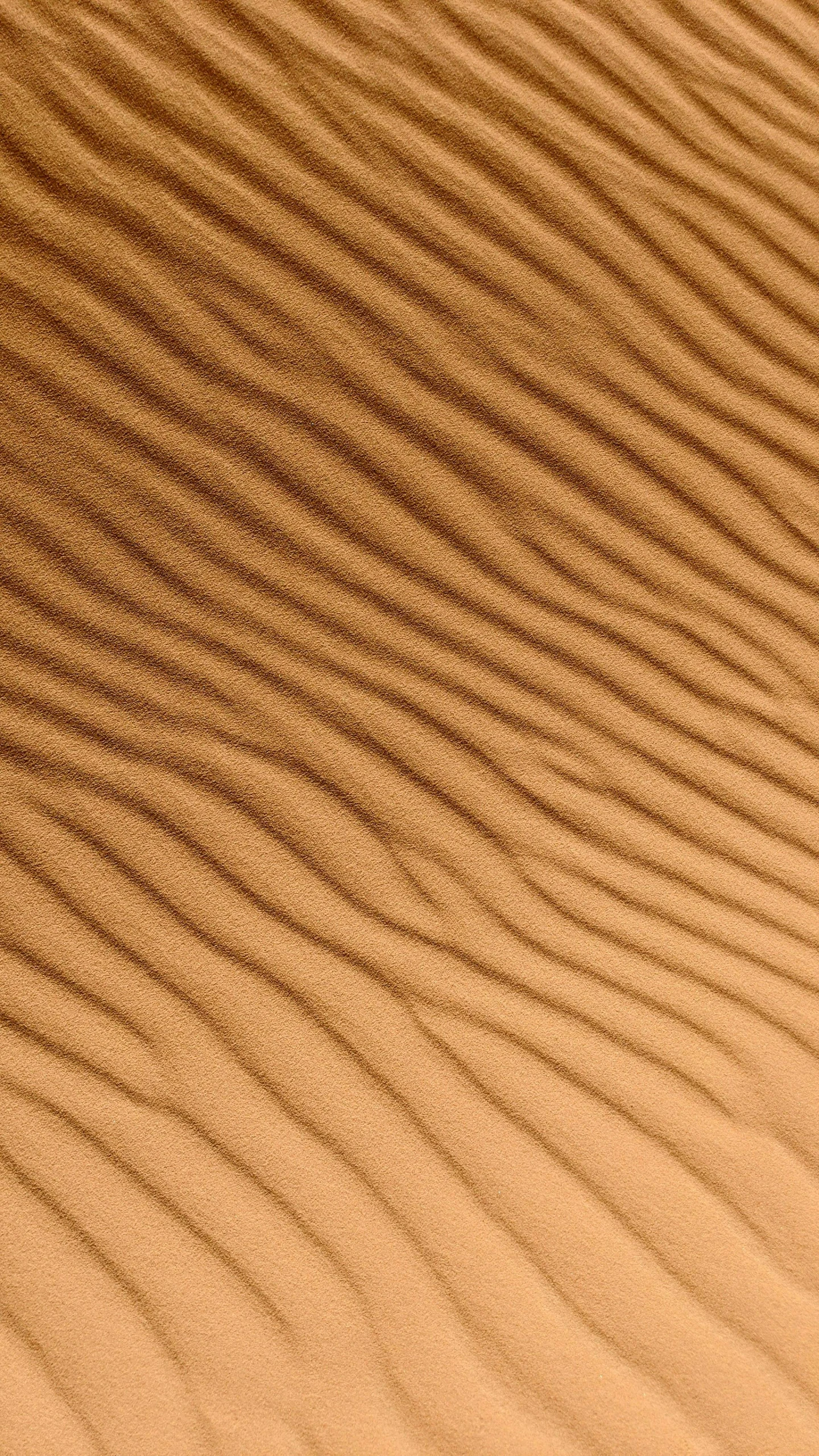 a person riding a horse in the desert, inspired by Edward Weston, pexels contest winner, op art, detail texture, honey ripples, sandworm, copper