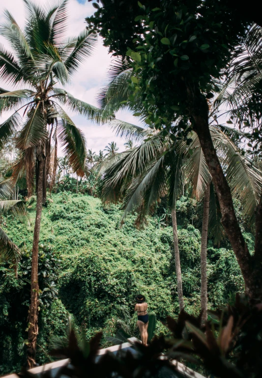 a man standing on top of a lush green hillside, inspired by Elsa Bleda, sumatraism, palm trees outside the windows, coconuts, massive trees, panoramic view of girl