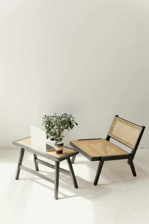 a chair and a table in a room, inspired by Constantin Hansen, unsplash, minimalism, indonesia, terrarium lounge area, bench, product view