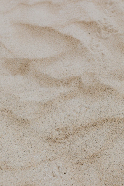 a white frisbee sitting on top of a sandy beach, trending on pexels, sand texture, background image, sinuous, brown