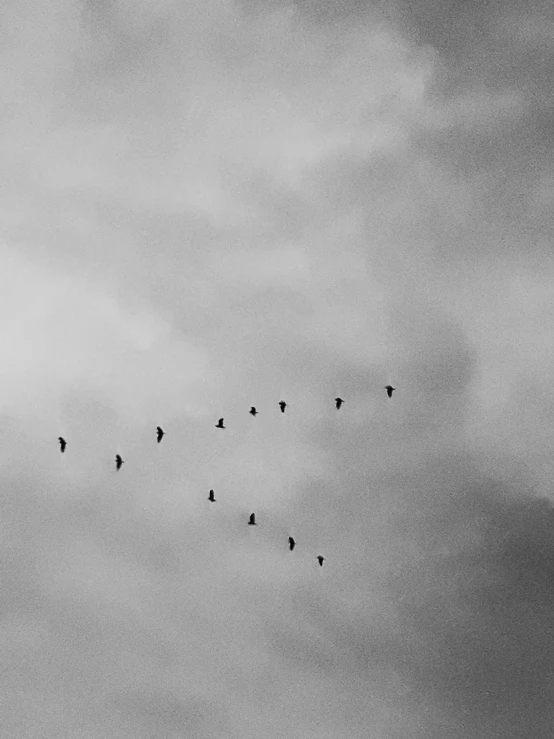 a flock of birds flying through a cloudy sky, a black and white photo, by Lucia Peka, unsplash, minimalism, shot with iphone 1 0, bird\'s eye view, arrival ( film ), gliding