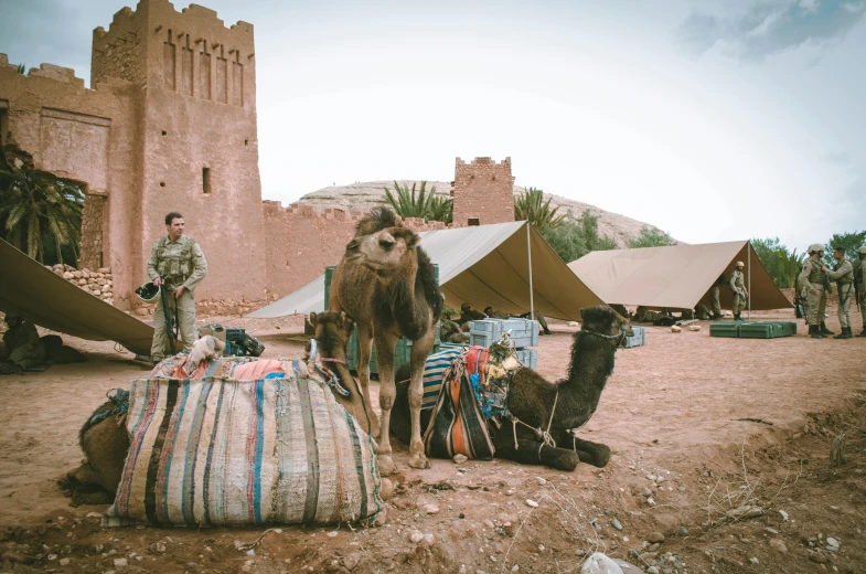 a couple of camels that are sitting in the dirt, pexels contest winner, les nabis, military buildings, merchant tents, thumbnail, in the style wes anderson