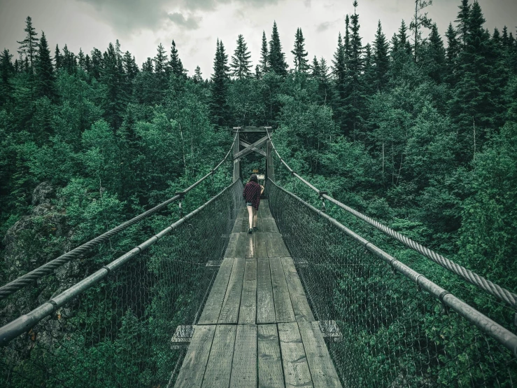 a woman is walking across a suspension bridge, inspired by Elsa Bleda, pexels contest winner, renaissance, forest green, scandinavian, maroon, sad man