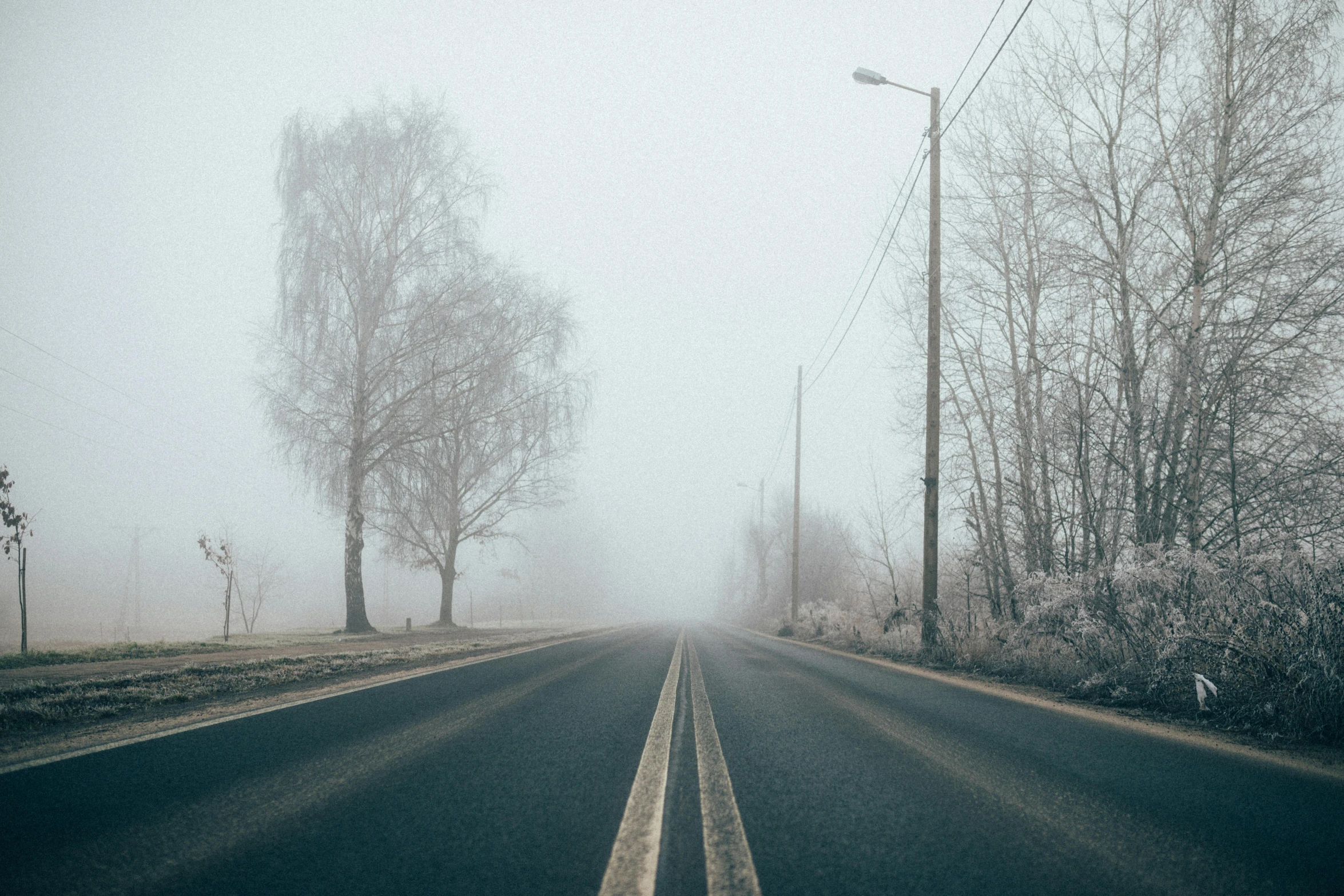 an empty road surrounded by trees on a foggy day, an album cover, pexels contest winner, postminimalism, icy cold pale silent atmosphere, streets, broken down, mid-30s