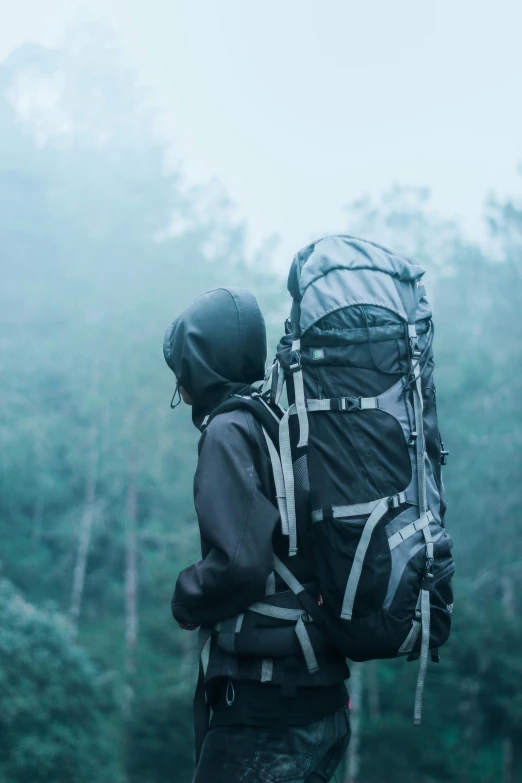 a man with a backpack standing in the middle of a forest, hazy and dreary, profile image, backpack, grey