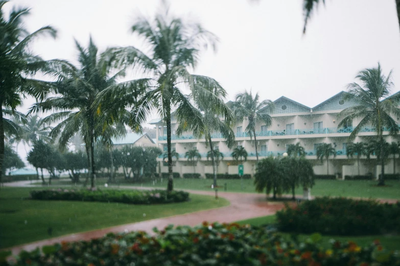 a large white building surrounded by palm trees, by Ryan Pancoast, unsplash contest winner, rainy day outside, bahamas, hotel room, school