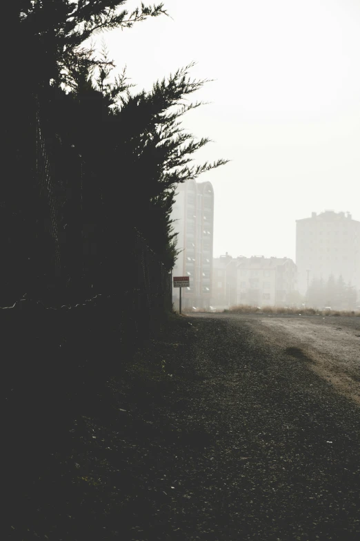 a person riding a bike down a dirt road, a black and white photo, inspired by Elsa Bleda, realism, mist below buildings, dystopian gray forest background, town in the background, obsidian towers in the distance