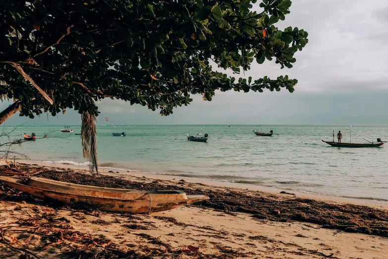 a boat sitting on top of a sandy beach, by Carey Morris, pexels contest winner, hurufiyya, tropical trees, with water and boats, thumbnail, background image