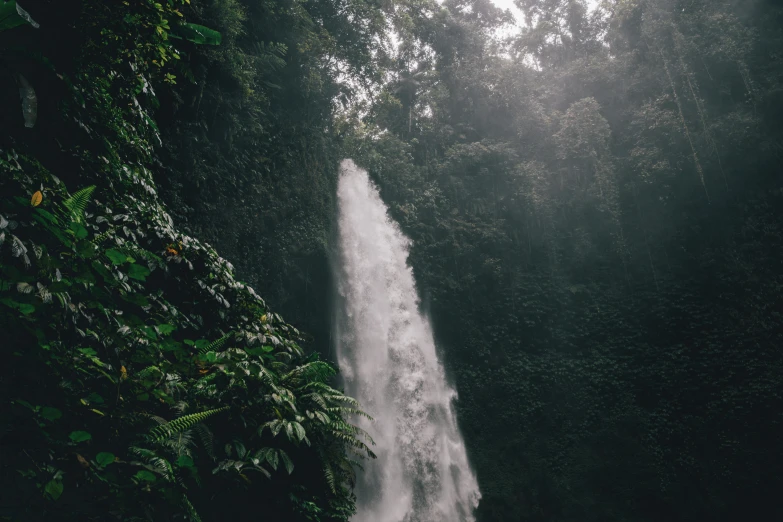 a person standing in front of a waterfall, inspired by Elsa Bleda, pexels contest winner, sumatraism, dense with greenery, is tall, white water, festivals