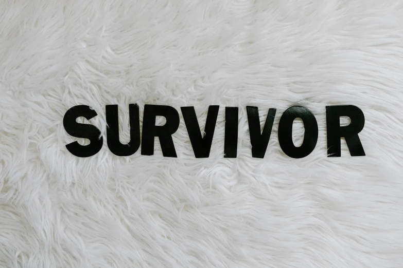 i am unable to see an image above, an album cover, by Olivia Peguero, trending on pexels, carrying survival gear, born survivor, typography, bralette