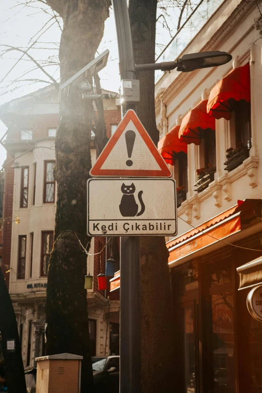 a street sign sitting on the side of a road, by Julia Pishtar, trending on pexels, istanbul, cat, kek, peaked wooden roofs