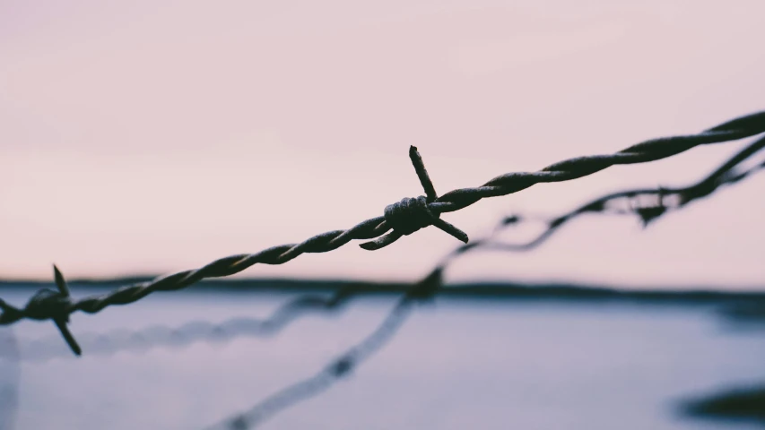 a close up of a barbed wire with water in the background, an album cover, inspired by Elsa Bleda, trending on pexels, postminimalism, fencing, skies behind, on a canva, modeled