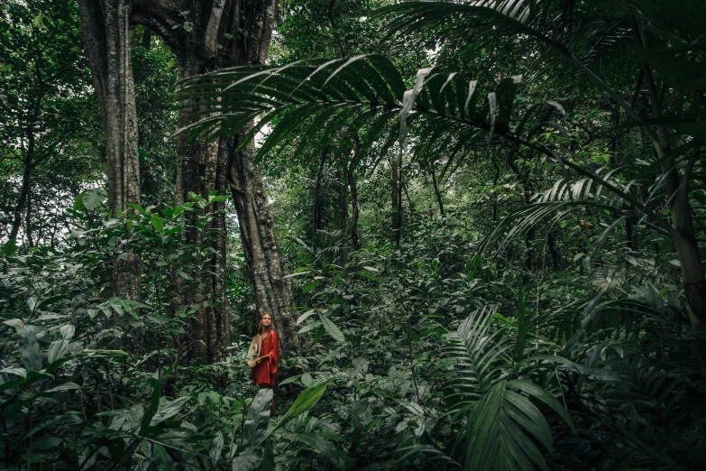 a woman standing in the middle of a forest, sumatraism, thiago lehmann, tree and plants, vibrantly lush, humans exploring