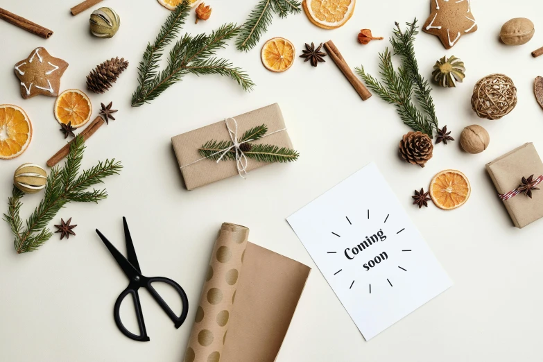 a bunch of presents sitting on top of a table, inspired by Ernest William Christmas, trending on pexels, invitation card, light brown coat, botanicals, diecut