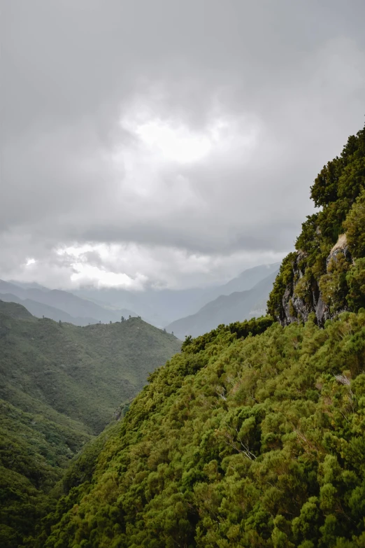 a group of people standing on top of a lush green hillside, les nabis, bad weather approaching, vallejo, forests, craggy