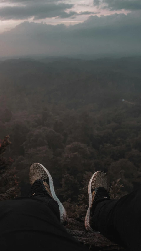 a couple of people sitting on top of a mountain, pexels contest winner, sumatraism, sneaker photo, view from the sky, hanging from a tree, low quality photo