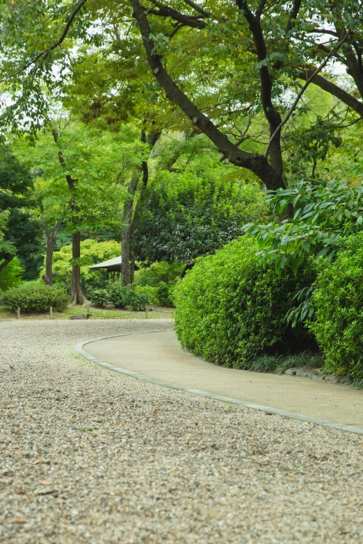 a man riding a skateboard down a gravel road, shin hanga, lush garden surroundings, well shaded, gardens, driveway