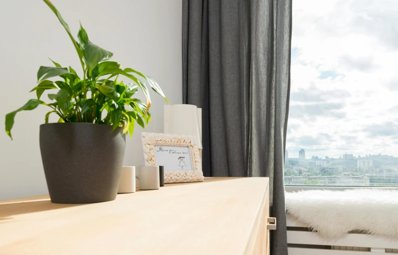 a plant sitting on top of a wooden table next to a window, a picture, overlooking a modern city, home display, laura watson, small and cosy student bedroom