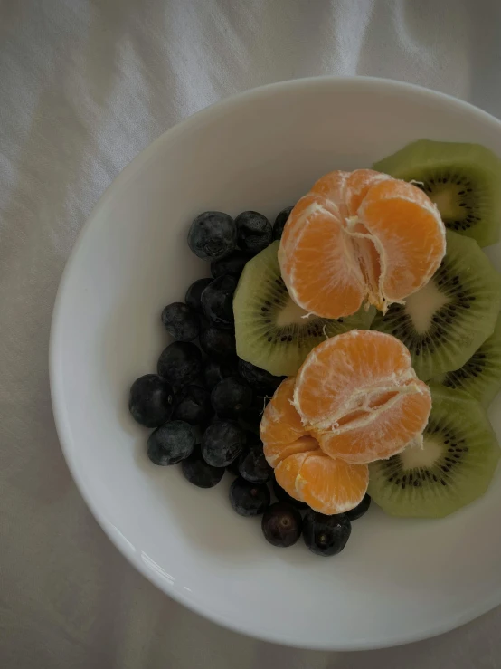 a white bowl filled with kiwi, oranges and blueberries, unsplash, hurufiyya, low quality photo, hearty breakfast, ilustration, bokehlicious